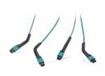 Molex FlexiBend MTP/MPO多纤维解决方案的介绍、特性、及应用