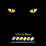 Kingbright Company LLC 微型plc -2 0603 SMD LED的介绍、特性、及应用