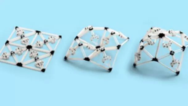 4D
