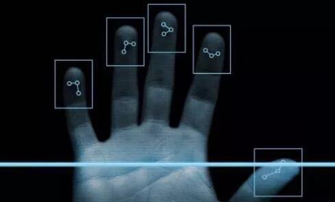 LGD领先研发内置指纹识别的OLED面板 有望明年量产